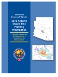 2016 AZ STPP Report cover page