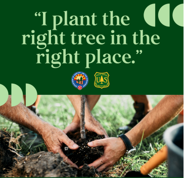 A group of hands planting a tree. Includes the quote "I plant the right tree in the right place"