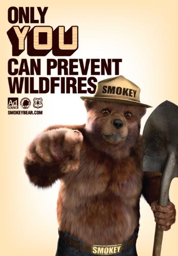 Smokey Bear - Only You 