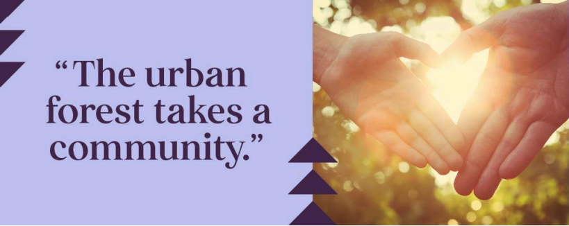 The urban forestry takes a community