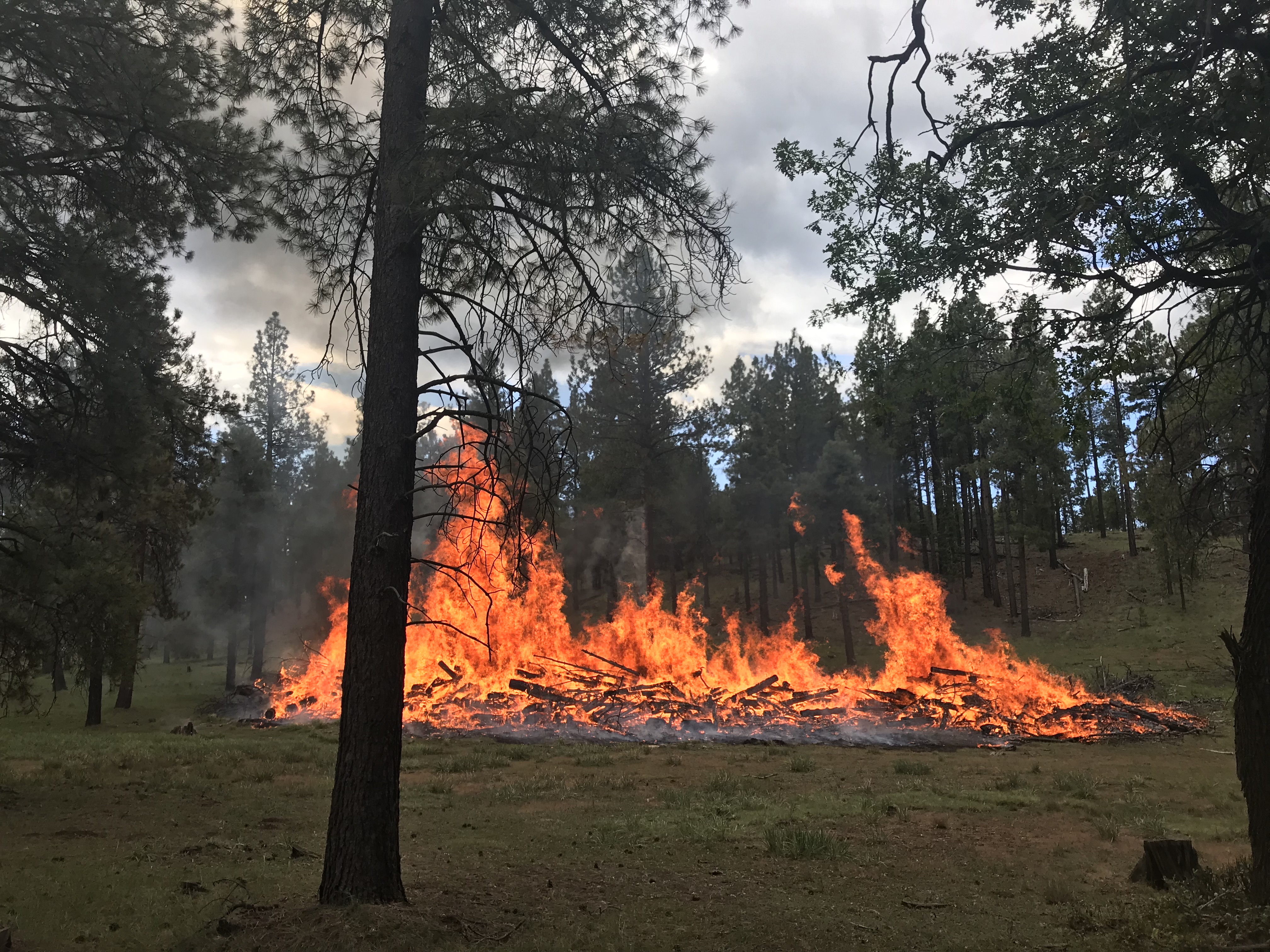 Flagstaff Tornado Pile Burn Project