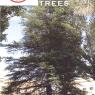 This is the 2012 Witness Trees Book.
